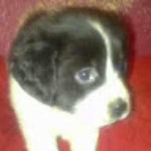 Meet your Posher, Joanne